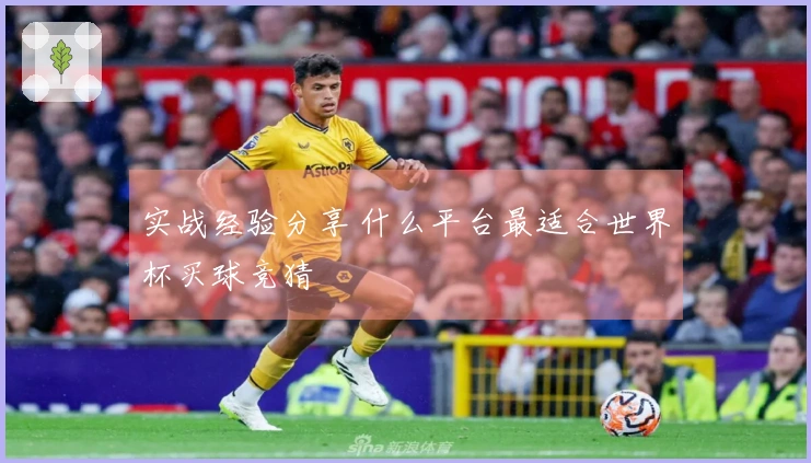 实战经验分享 什么平台最适合世界杯买球竞猜