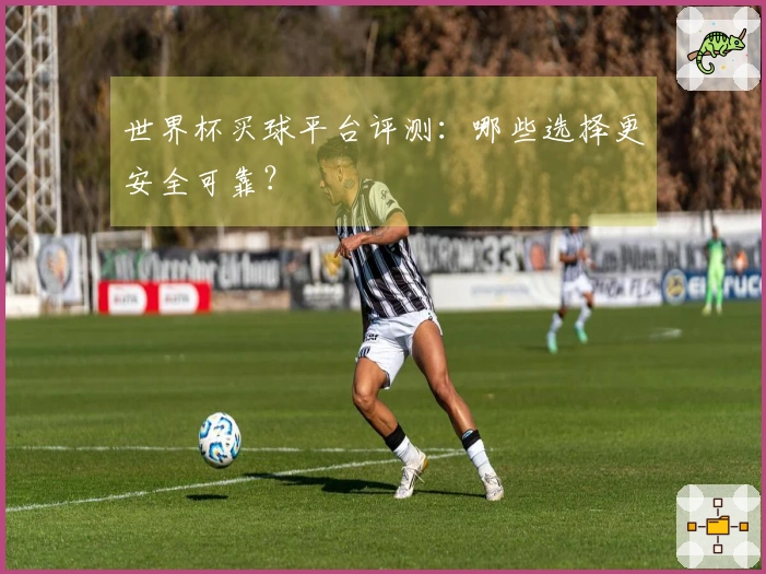 世界杯买球平台评测：哪些选择更安全可靠？