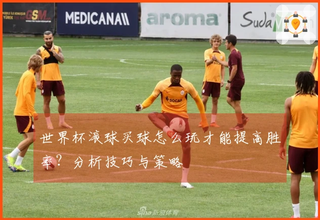 世界杯滚球买球怎么玩才能提高胜率？分析技巧与策略