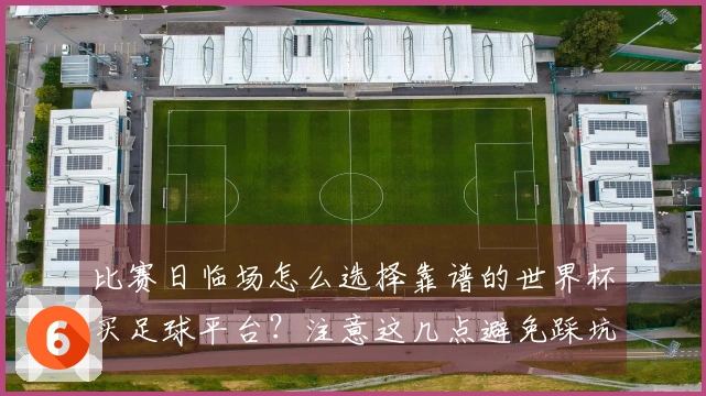 比赛日临场怎么选择靠谱的世界杯买足球平台？注意这几点避免踩坑