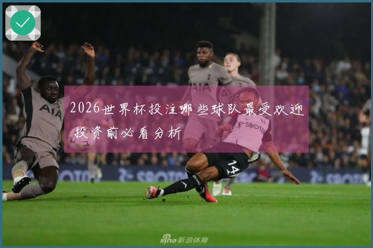 2026世界杯投注哪些球队最受欢迎 投资前必看分析