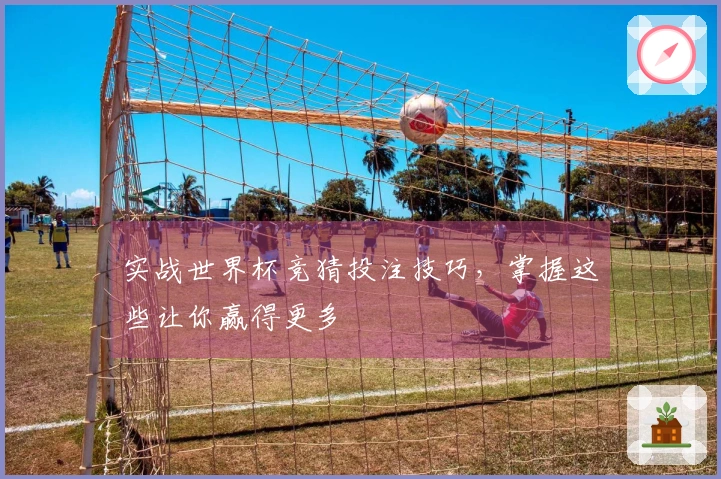 实战世界杯竞猜投注技巧，掌握这些让你赢得更多