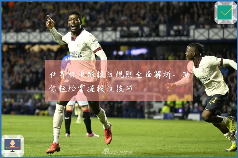 世界杯滚球投注规则全面解析，助你轻松掌握投注技巧