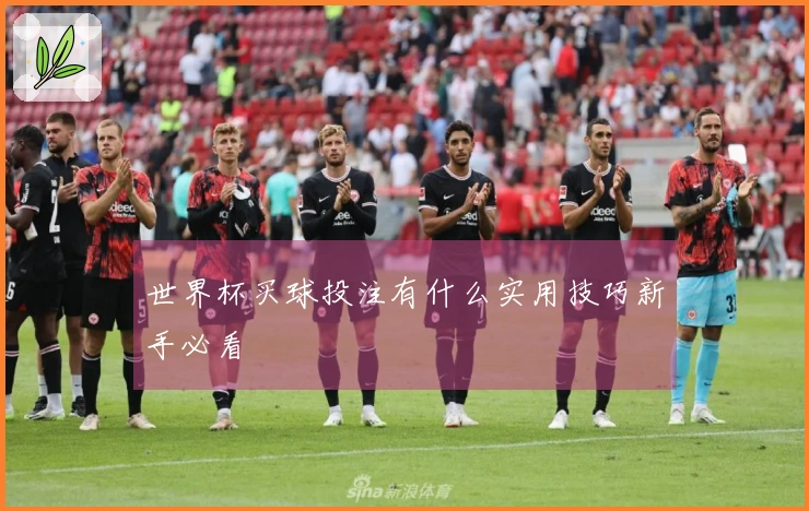 世界杯买球投注有什么实用技巧新手必看