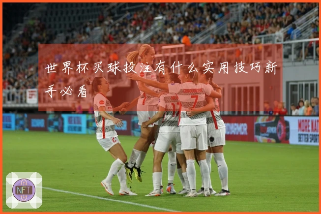 世界杯买球投注有什么实用技巧新手必看