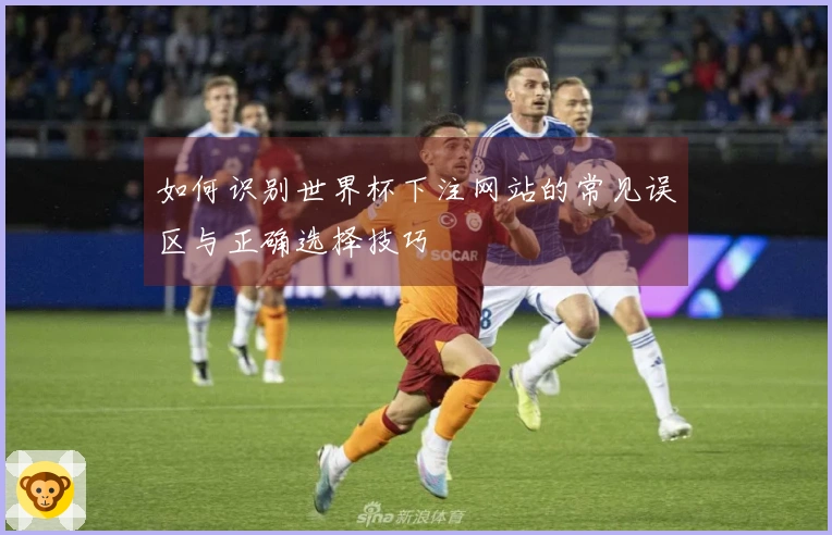 如何识别世界杯下注网站的常见误区与正确选择技巧