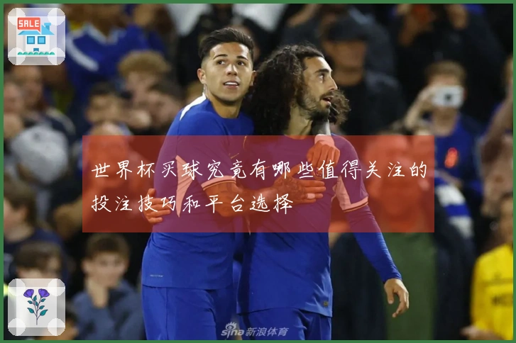 世界杯买球究竟有哪些值得关注的投注技巧和平台选择