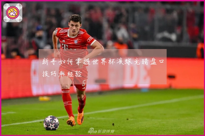 新手如何掌握世界杯滚球竞猜盘口技巧和经验