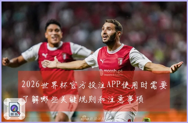 2026世界杯官方投注APP使用时需要了解哪些关键规则和注意事项