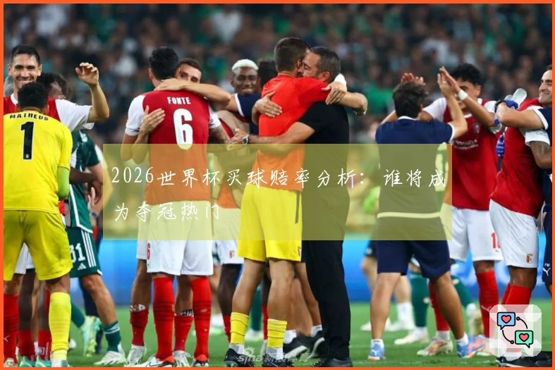 2026世界杯买球赔率分析：谁将成为夺冠热门