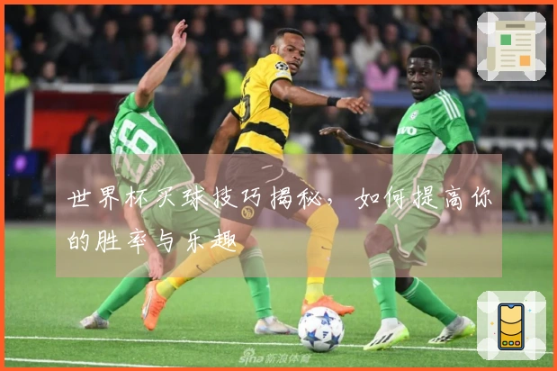 世界杯买球技巧揭秘，如何提高你的胜率与乐趣